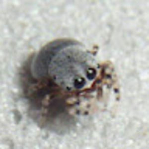 Meet your Posher, Lucy